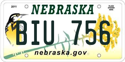 NE license plate BIU756