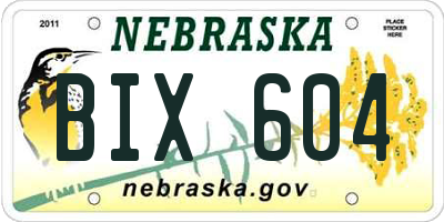 NE license plate BIX604