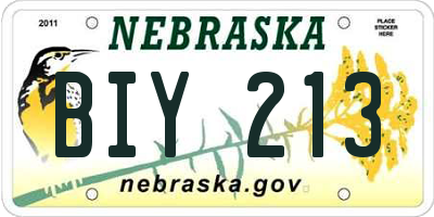 NE license plate BIY213