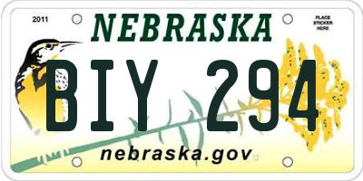 NE license plate BIY294
