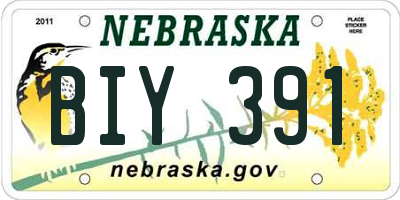NE license plate BIY391