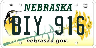 NE license plate BIY916