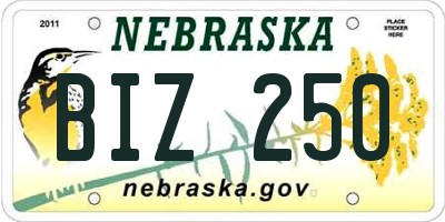 NE license plate BIZ250