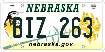 NE license plate BIZ263