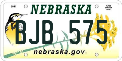 NE license plate BJB575