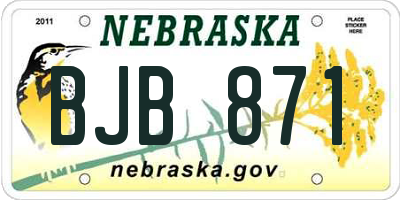 NE license plate BJB871
