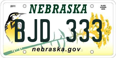 NE license plate BJD333