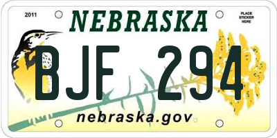 NE license plate BJF294
