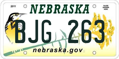 NE license plate BJG263