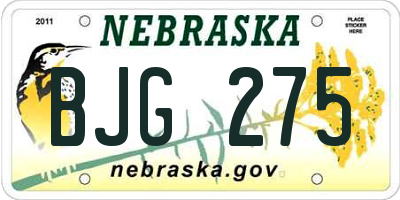 NE license plate BJG275