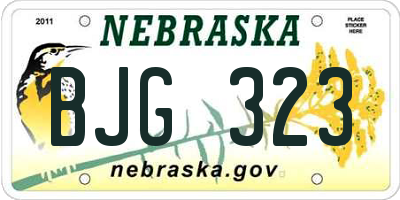 NE license plate BJG323