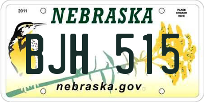NE license plate BJH515
