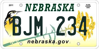 NE license plate BJM234