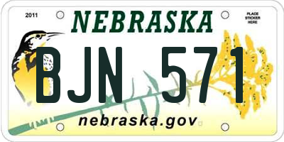 NE license plate BJN571
