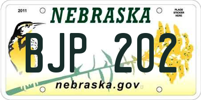 NE license plate BJP202