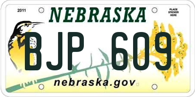 NE license plate BJP609