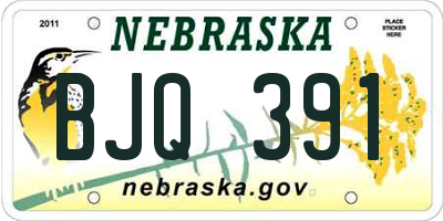 NE license plate BJQ391