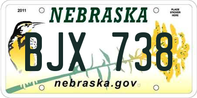 NE license plate BJX738