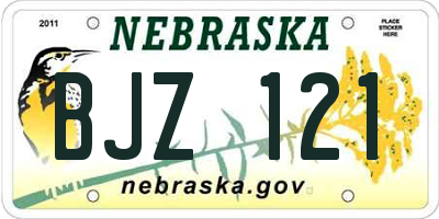NE license plate BJZ121