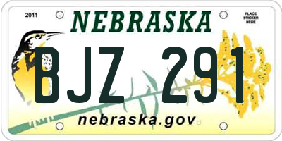 NE license plate BJZ291