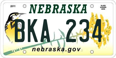 NE license plate BKA234
