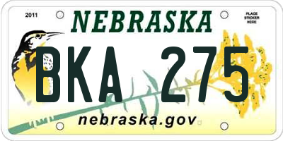 NE license plate BKA275
