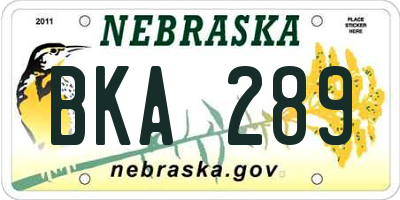 NE license plate BKA289
