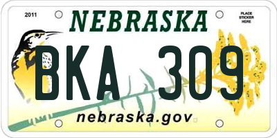 NE license plate BKA309