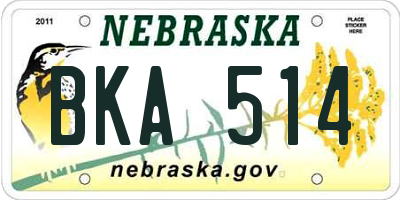 NE license plate BKA514