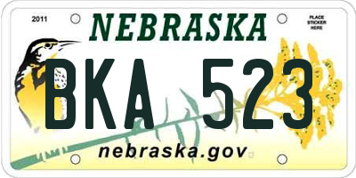 NE license plate BKA523