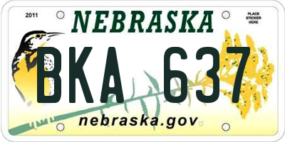 NE license plate BKA637