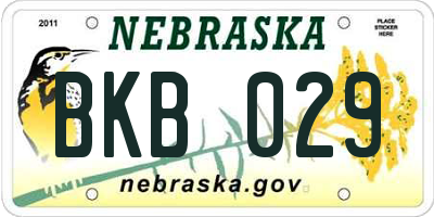 NE license plate BKB029
