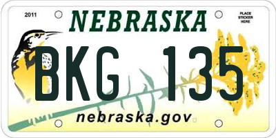 NE license plate BKG135