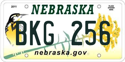 NE license plate BKG256