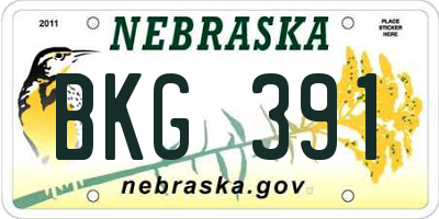NE license plate BKG391