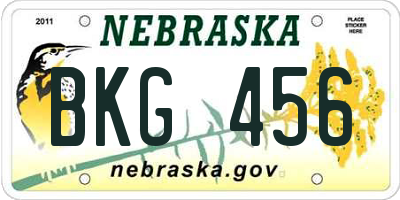 NE license plate BKG456