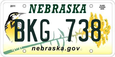 NE license plate BKG738