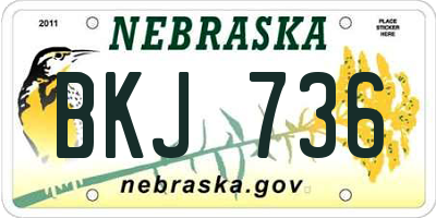 NE license plate BKJ736