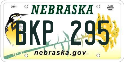 NE license plate BKP295