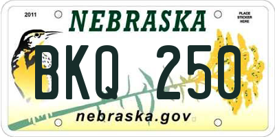 NE license plate BKQ250