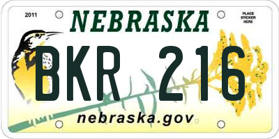 NE license plate BKR216