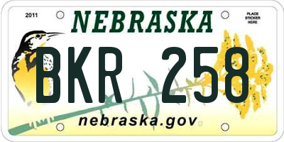 NE license plate BKR258