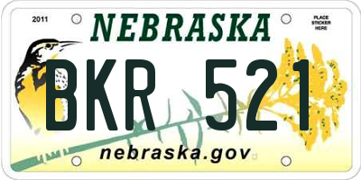 NE license plate BKR521
