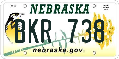 NE license plate BKR738