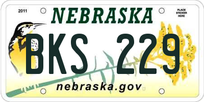 NE license plate BKS229