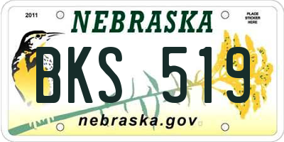NE license plate BKS519