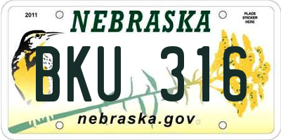NE license plate BKU316