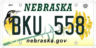 NE license plate BKU558