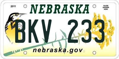NE license plate BKV233