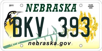 NE license plate BKV393